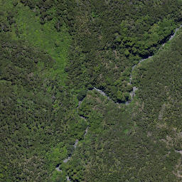 Satellite imagery of Wild Sheep Spur, NZ
