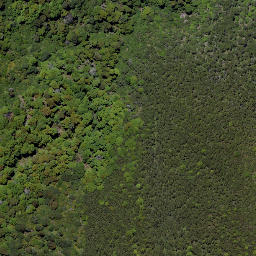 Satellite imagery of Wild Sheep Spur, NZ