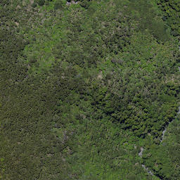 Satellite imagery of Wild Sheep Spur, NZ
