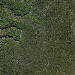 Satellite imagery of Wild Sheep Spur, NZ