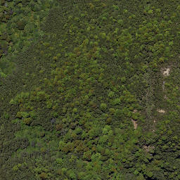 Satellite imagery of Wild Sheep Spur, NZ