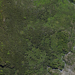 Satellite imagery of Wild Sheep Spur, NZ