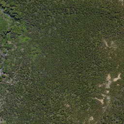 Satellite imagery of Wild Sheep Spur, NZ