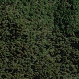 Satellite imagery of Paso Quillehue, AR