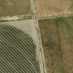 Satellite imagery of Waitangi Mission Station 1844-1852, NZ