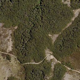 Satellite imagery of Hollowback Ridge, NZ