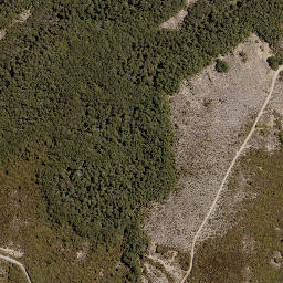 Satellite imagery of Hollowback Ridge, NZ