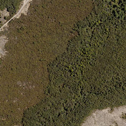 Satellite imagery of Hollowback Ridge, NZ