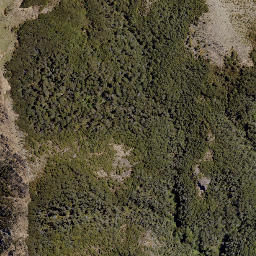 Satellite imagery of Hollowback Ridge, NZ