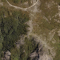 Satellite imagery of Hollowback Ridge, NZ