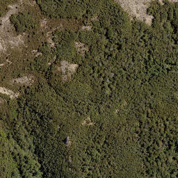 Satellite imagery of Hollowback Ridge, NZ