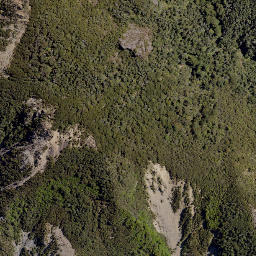Satellite imagery of Hollowback Ridge, NZ