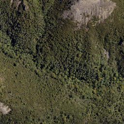 Satellite imagery of Hollowback Ridge, NZ