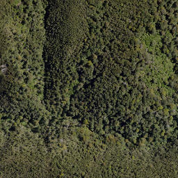 Satellite imagery of Hollowback Ridge, NZ