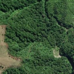Satellite imagery of 12961, NZ