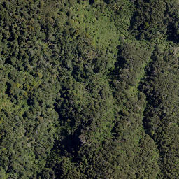 Satellite imagery of Herrick Spur, NZ
