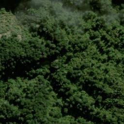 Satellite imagery of The Paradise, NZ