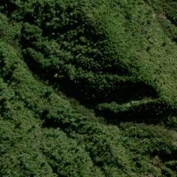 Satellite imagery of The Paradise, NZ