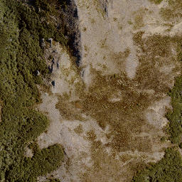 Satellite imagery of Bob Spur, NZ