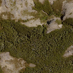 Satellite imagery of Bob Spur, NZ