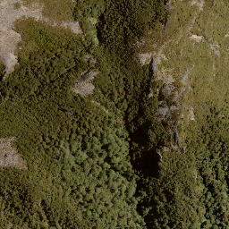 Satellite imagery of Bob Spur, NZ
