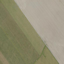 Satellite imagery of Ohiti Pa, NZ