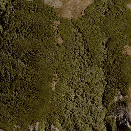 Satellite imagery of Bob Spur, NZ