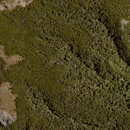 Satellite imagery of Bob Spur, NZ