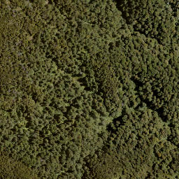 Satellite imagery of Bob Spur, NZ