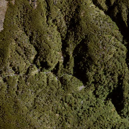 Satellite imagery of Bob Spur, NZ