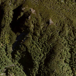 Satellite imagery of Bob Spur, NZ
