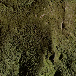Satellite imagery of Bob Spur, NZ