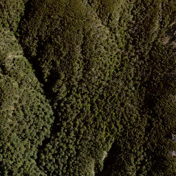 Satellite imagery of Golden Crown, NZ