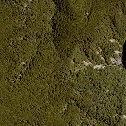 Satellite imagery of Jumped Up, NZ