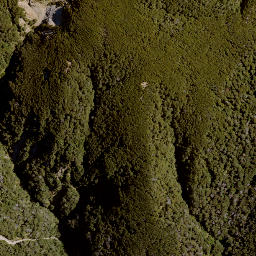 Satellite imagery of Jumped Up, NZ