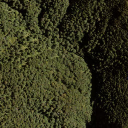 Satellite imagery of Golden Crown, NZ
