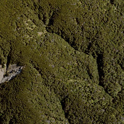 Satellite imagery of Jumped Up, NZ