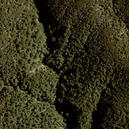 Satellite imagery of Jumped Up, NZ