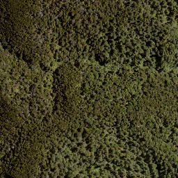 Satellite imagery of Jumped Up, NZ