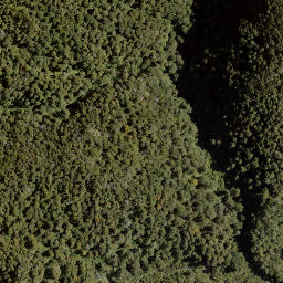 Satellite imagery of Golden Crown, NZ