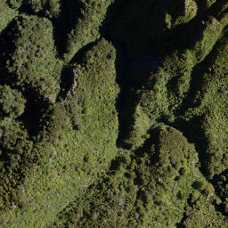 Satellite imagery of Golden Crown, NZ