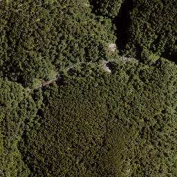Satellite imagery of Jumped Up, NZ