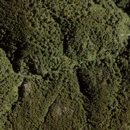 Satellite imagery of Jumped Up, NZ