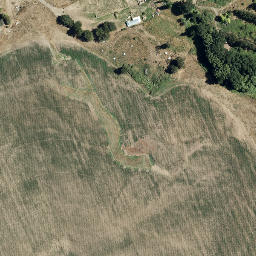 Satellite imagery of Bridge Pa, NZ