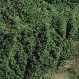 Satellite imagery of U3 (Opaku SD), NZ