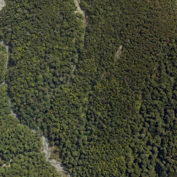 Satellite imagery of Totara Spur, NZ