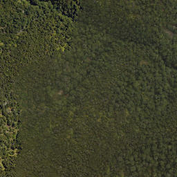 Satellite imagery of Totara Spur, NZ