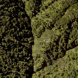 Satellite imagery of A TAUAKIRA, NZ
