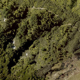 Satellite imagery of A TAUAKIRA, NZ