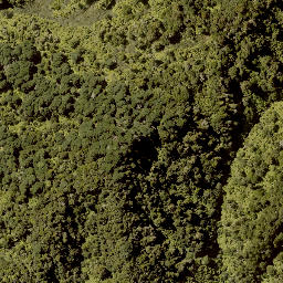 Satellite imagery of A TAUAKIRA, NZ